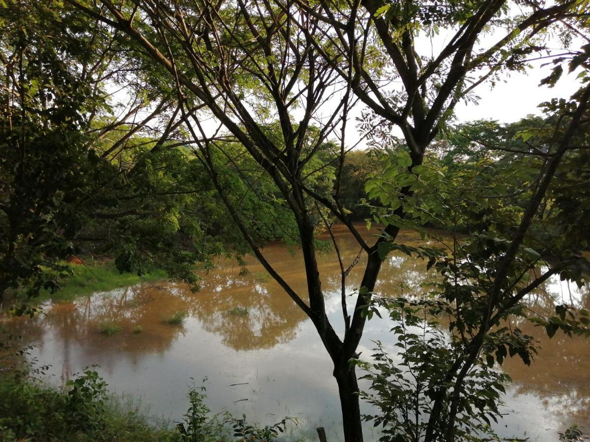 Finca Ecoturistica Los Jagueyes Baraya ภายนอก รูปภาพ