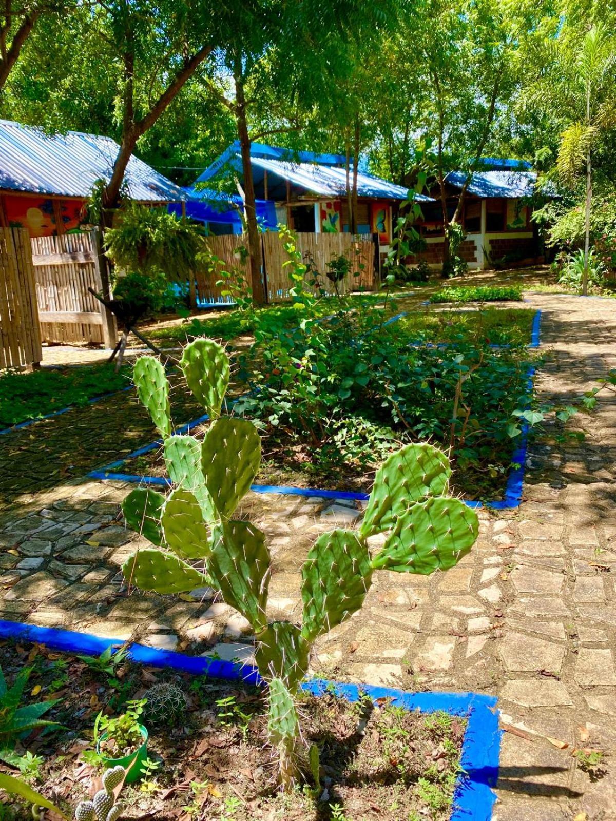 Finca Ecoturistica Los Jagueyes Baraya ภายนอก รูปภาพ