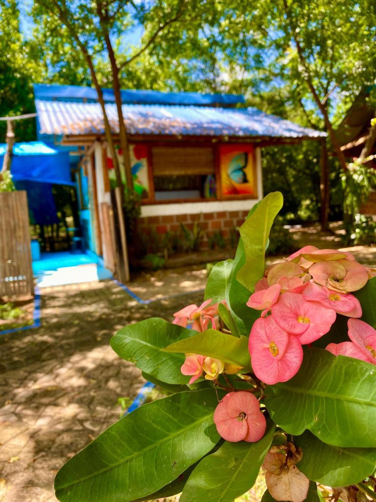 Finca Ecoturistica Los Jagueyes Baraya ภายนอก รูปภาพ